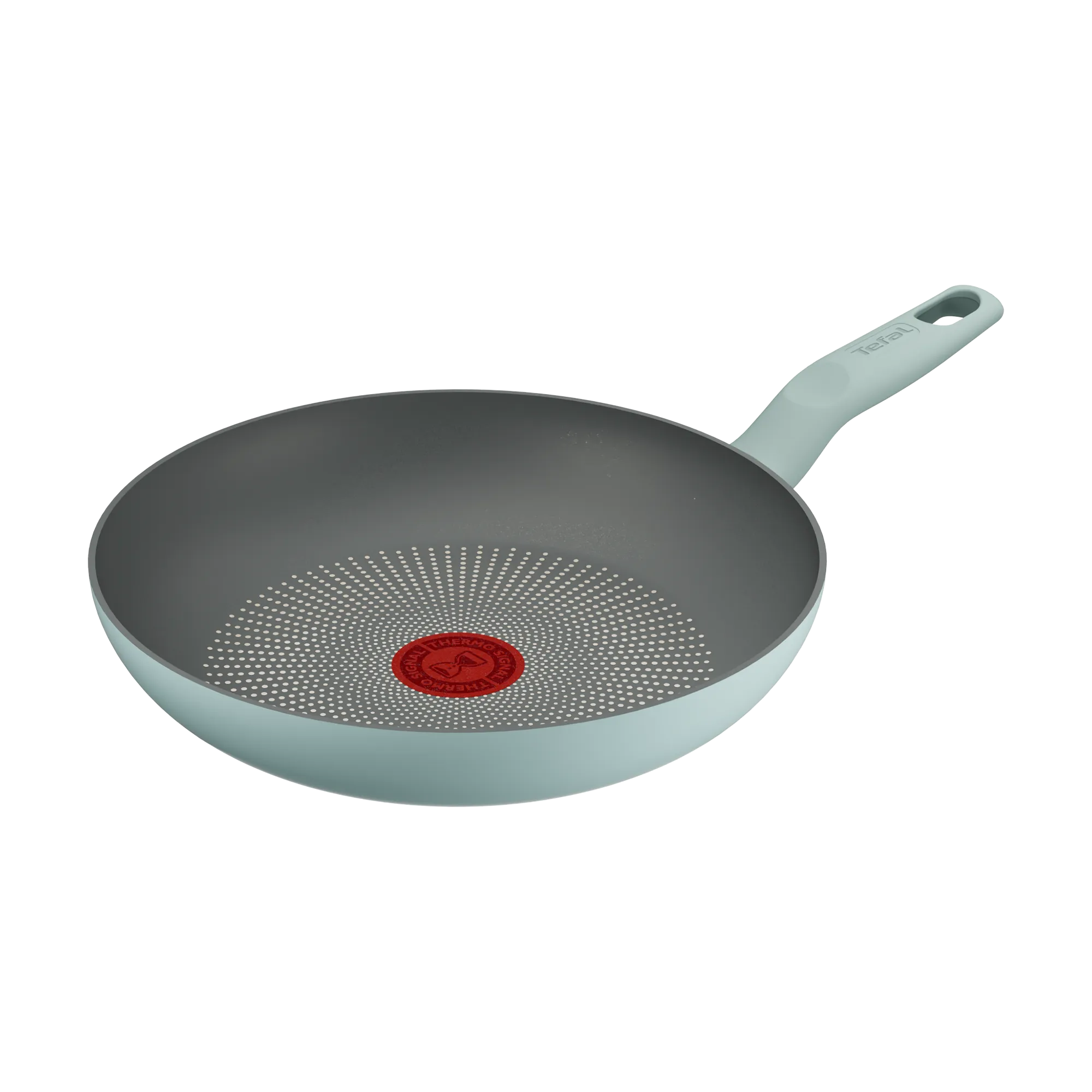Tefal Halo Induction Non-Stick Eucalyptus Frypan 24cm
