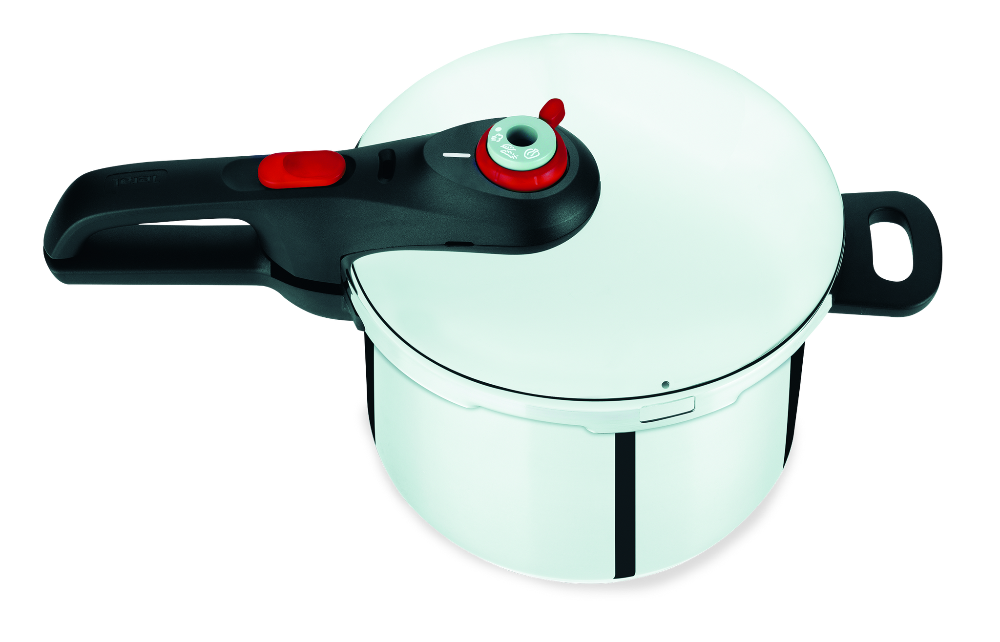 Tefal stove top pressure cooker sale