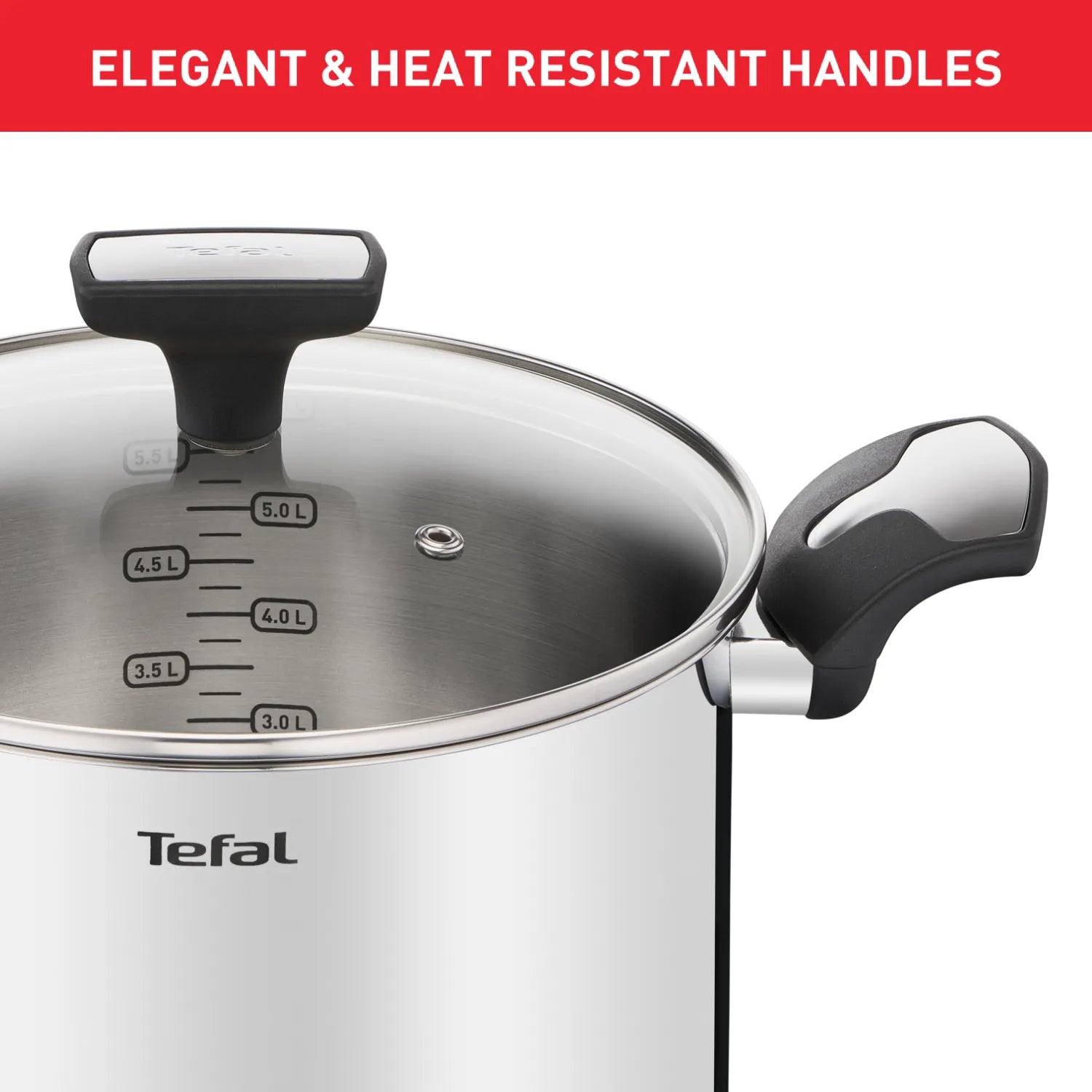 Tefal Emotion Induction Stainless Steel Stockpot 22cm/6L