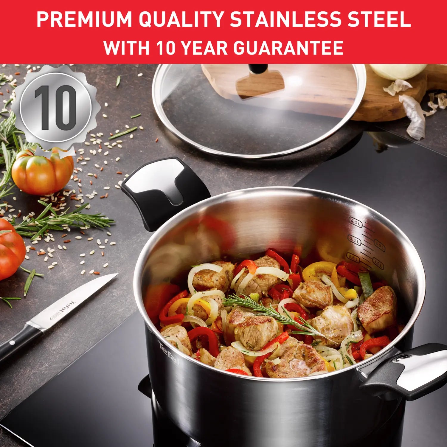 Tefal Emotion Induction Stainless Steel Stockpot 22cm/6L