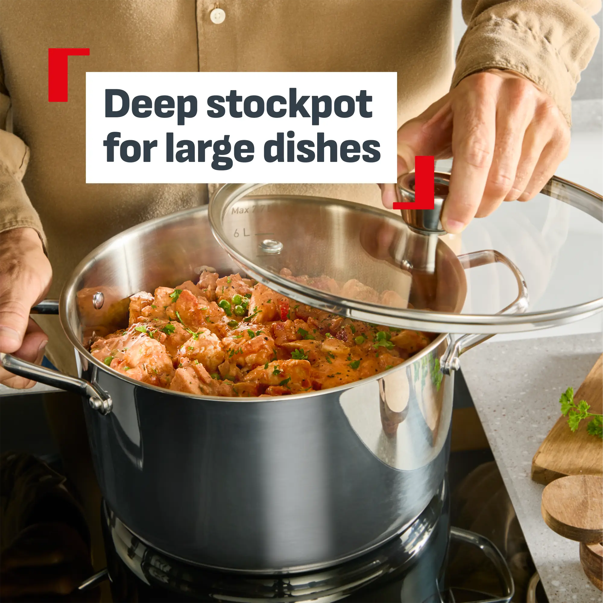 Tefal Space+ Emotion+ XL Induction Stainless Steel Big Pot 13.8L