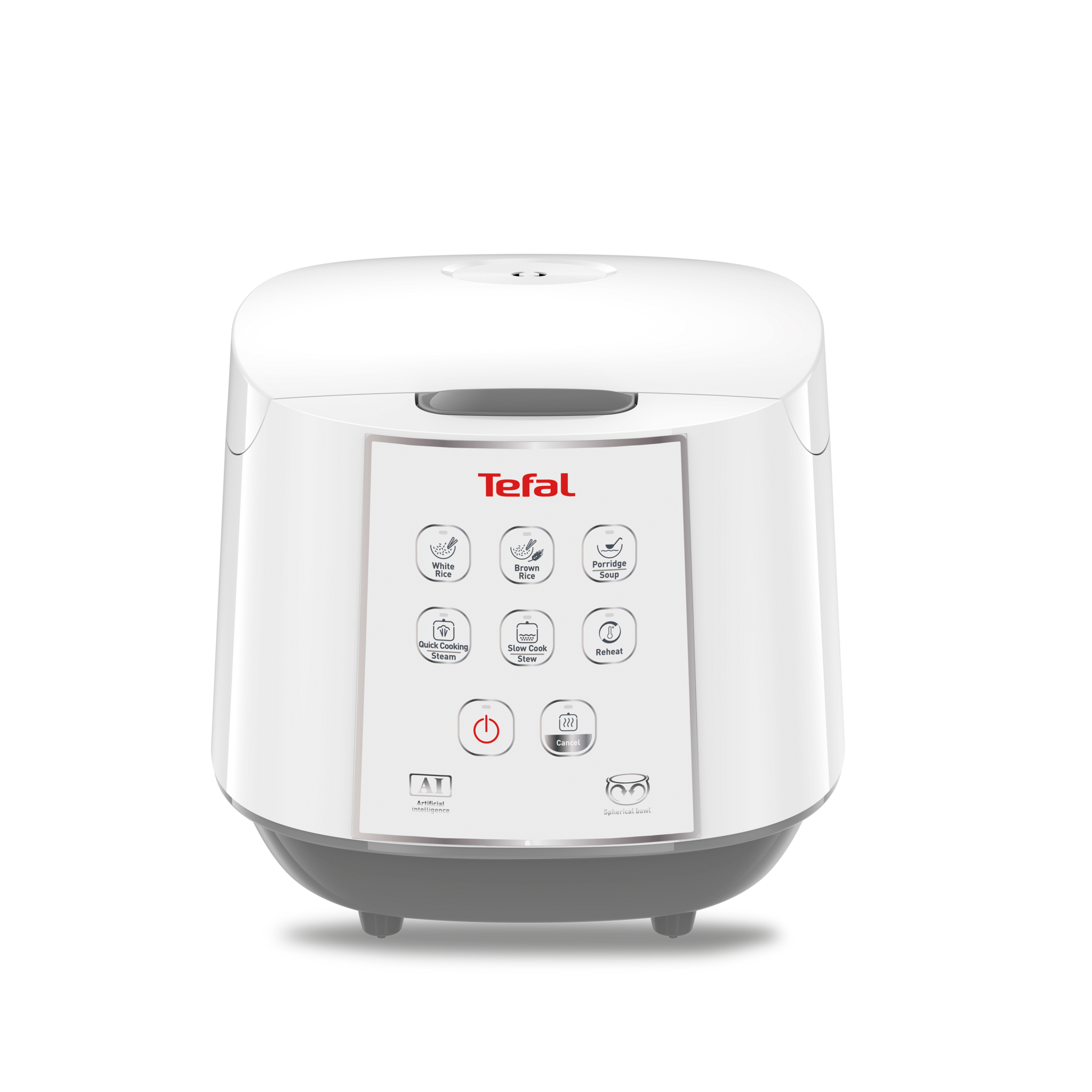Can rice cooker be used as slow cooker online