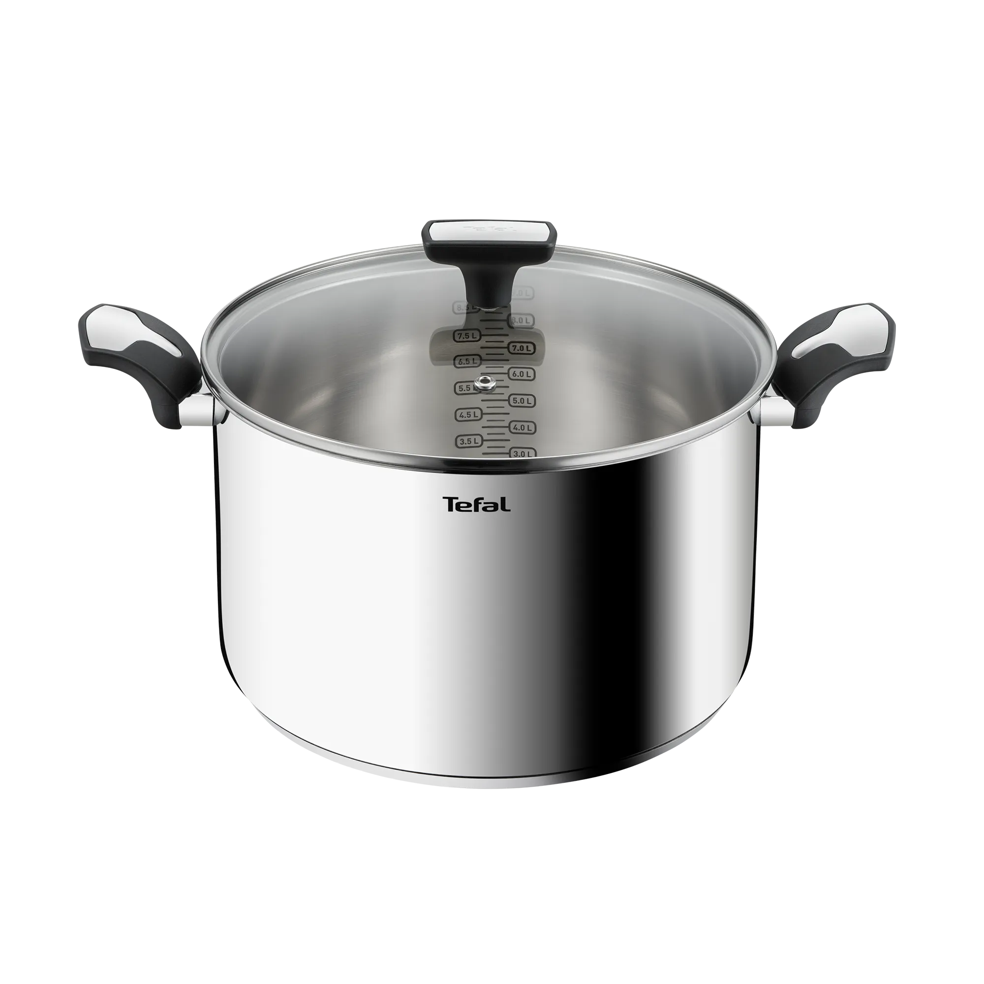 Tefal Emotion Induction Stainless Steel Stockpot 9L
