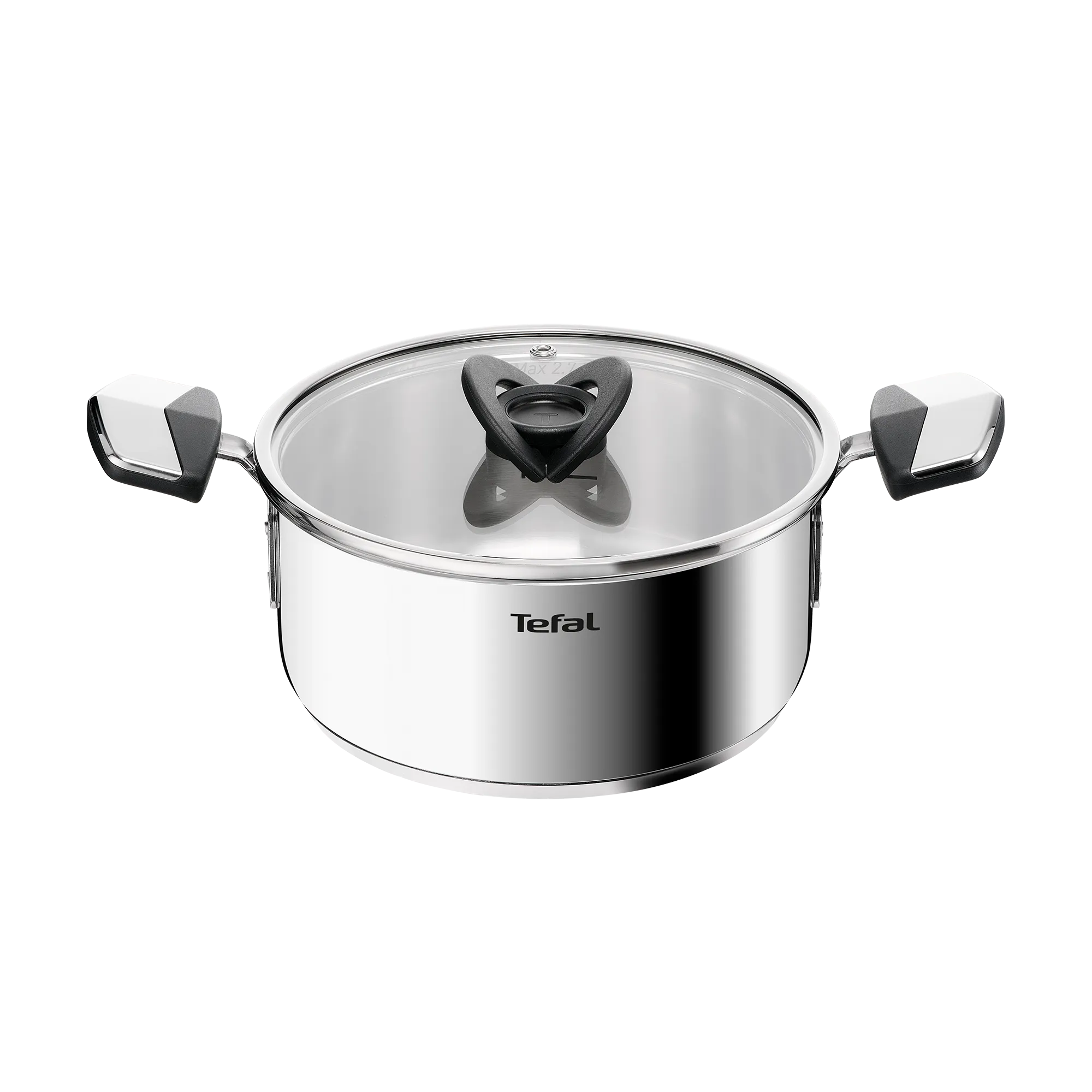 Tefal Space+ Emotion+ Induction Stainless Steel Uncoated Stewpot 20cm + Lid