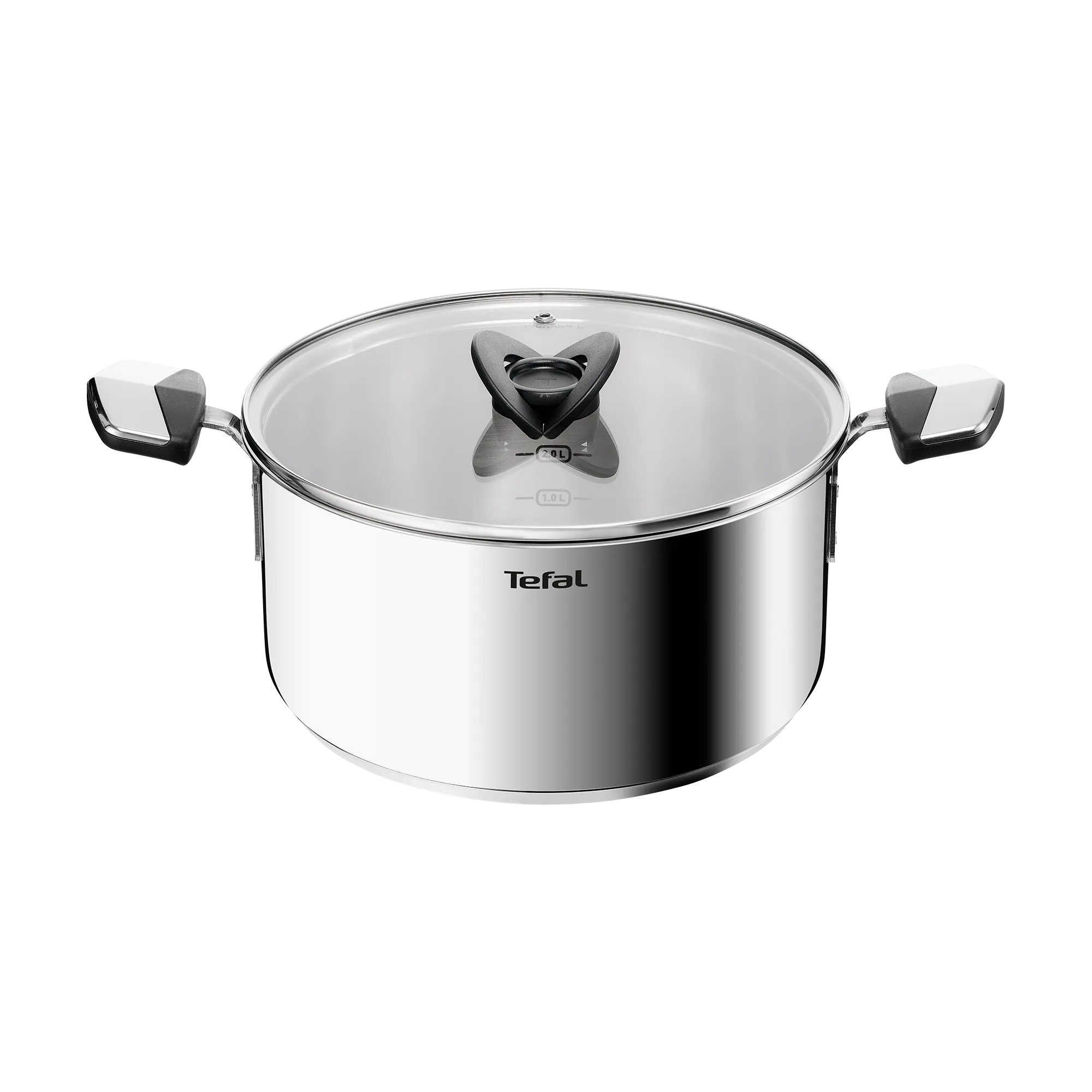 Tefal Space+ Emotion+ Induction Stainless Steel Uncoated Stewpot 24cm + Lid