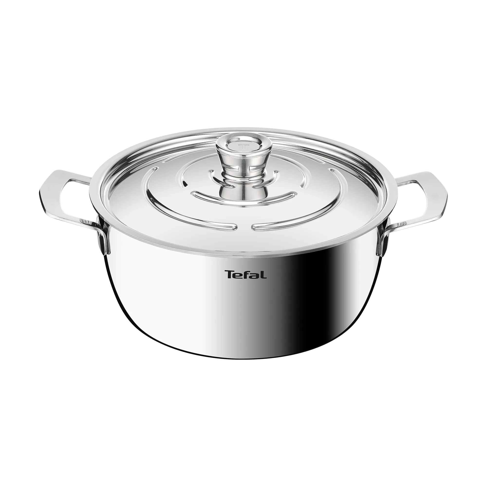 Tefal Emotion+ Gourmet Induction Stainless Steel Uncoated Dutch Oven 24cm