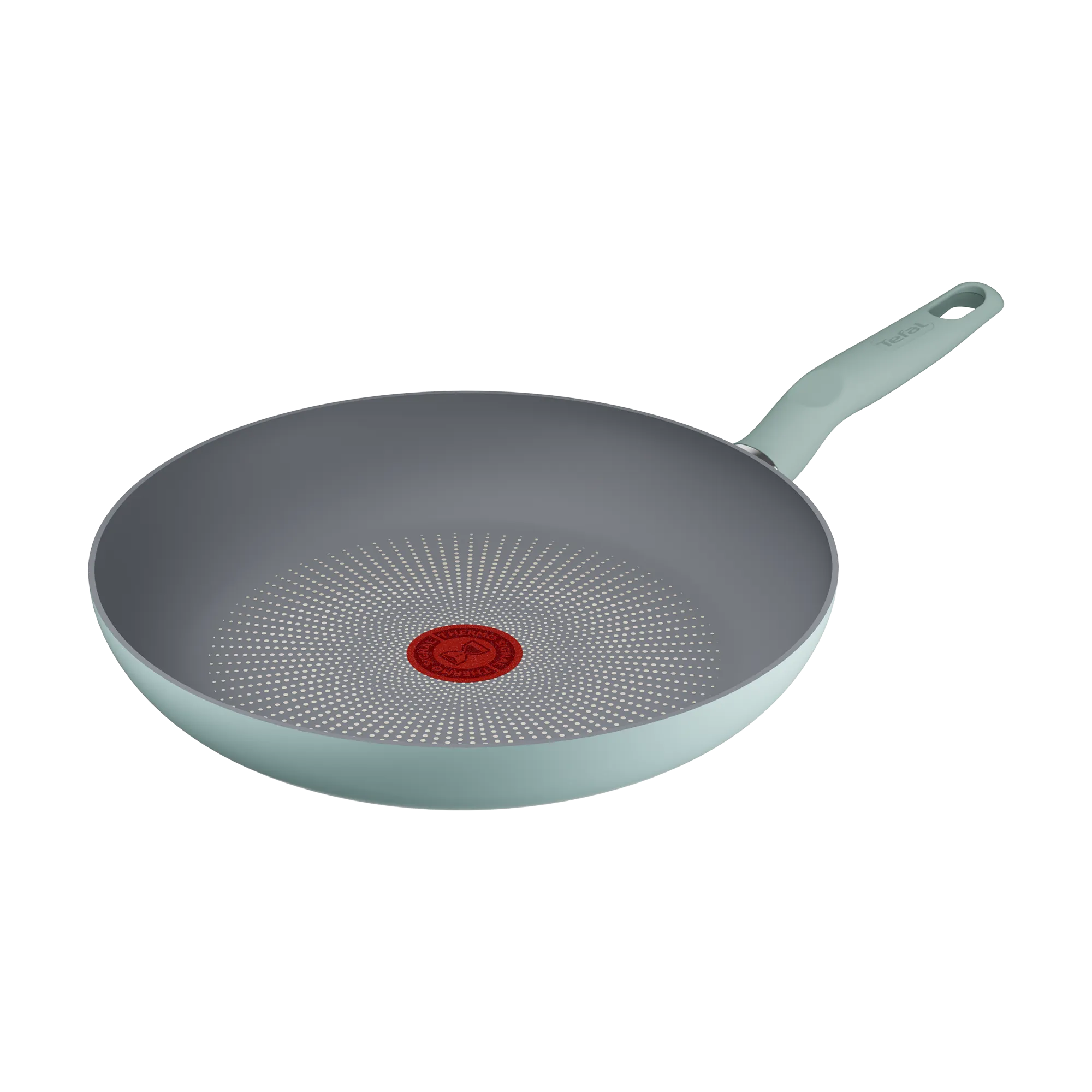 Tefal Halo Induction Non-Stick Eucalyptus Frypan 28cm