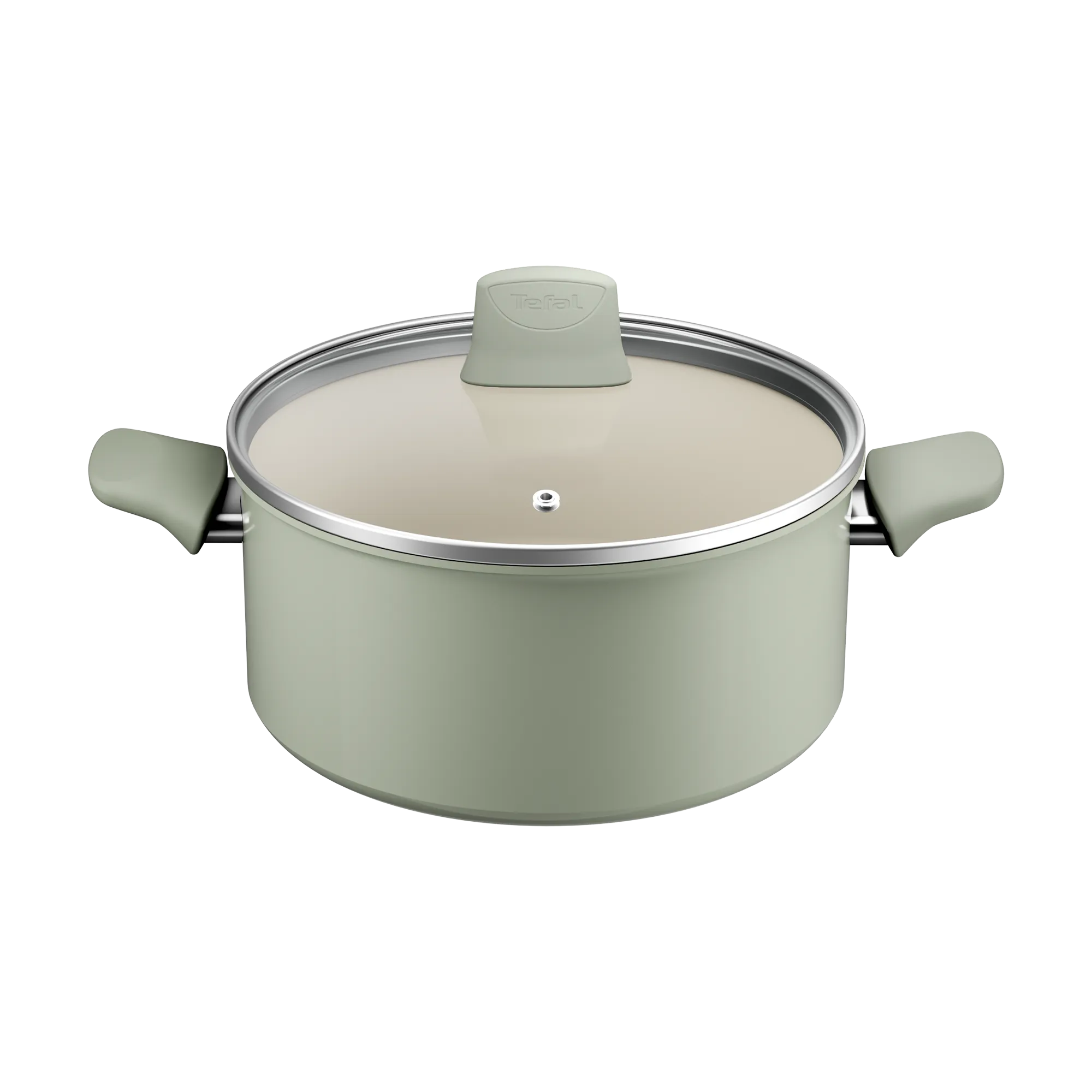 Tefal (Re)cycle Induction Ceramic Green Lichen Non-Stick Stewpot 24cm + Lid