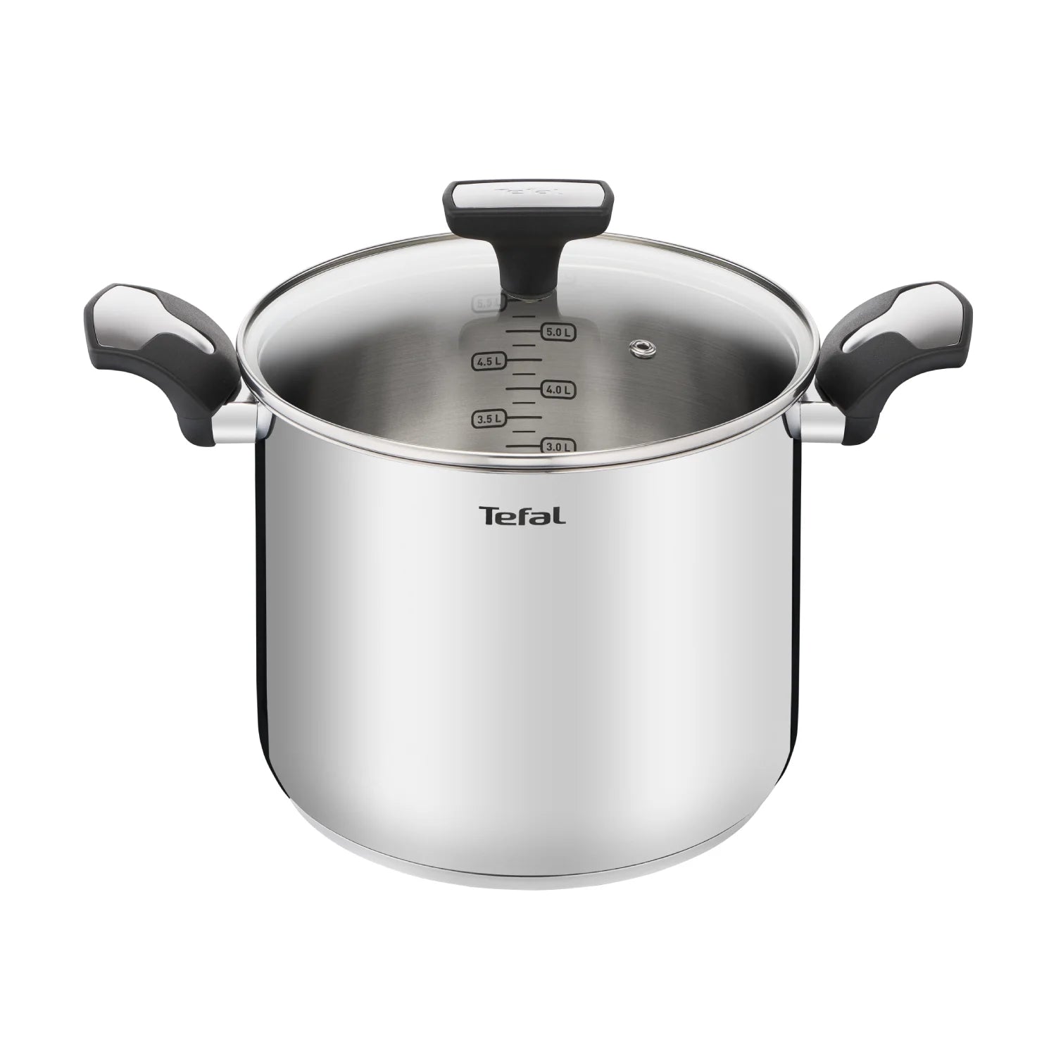 Tefal Emotion Induction Stainless Steel Stockpot 22cm/6L