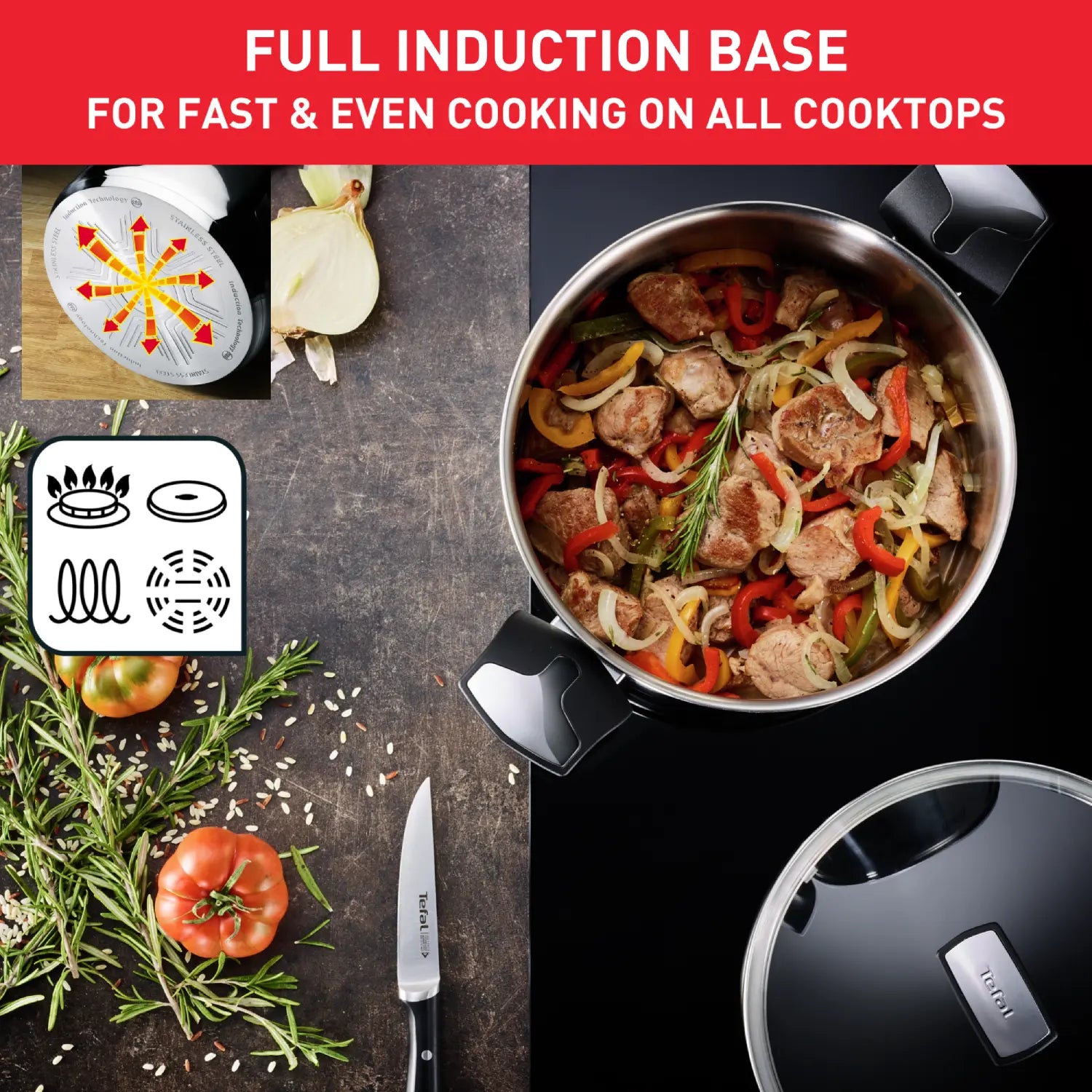Tefal Emotion Induction Stainless Steel Stockpot 22cm/6L