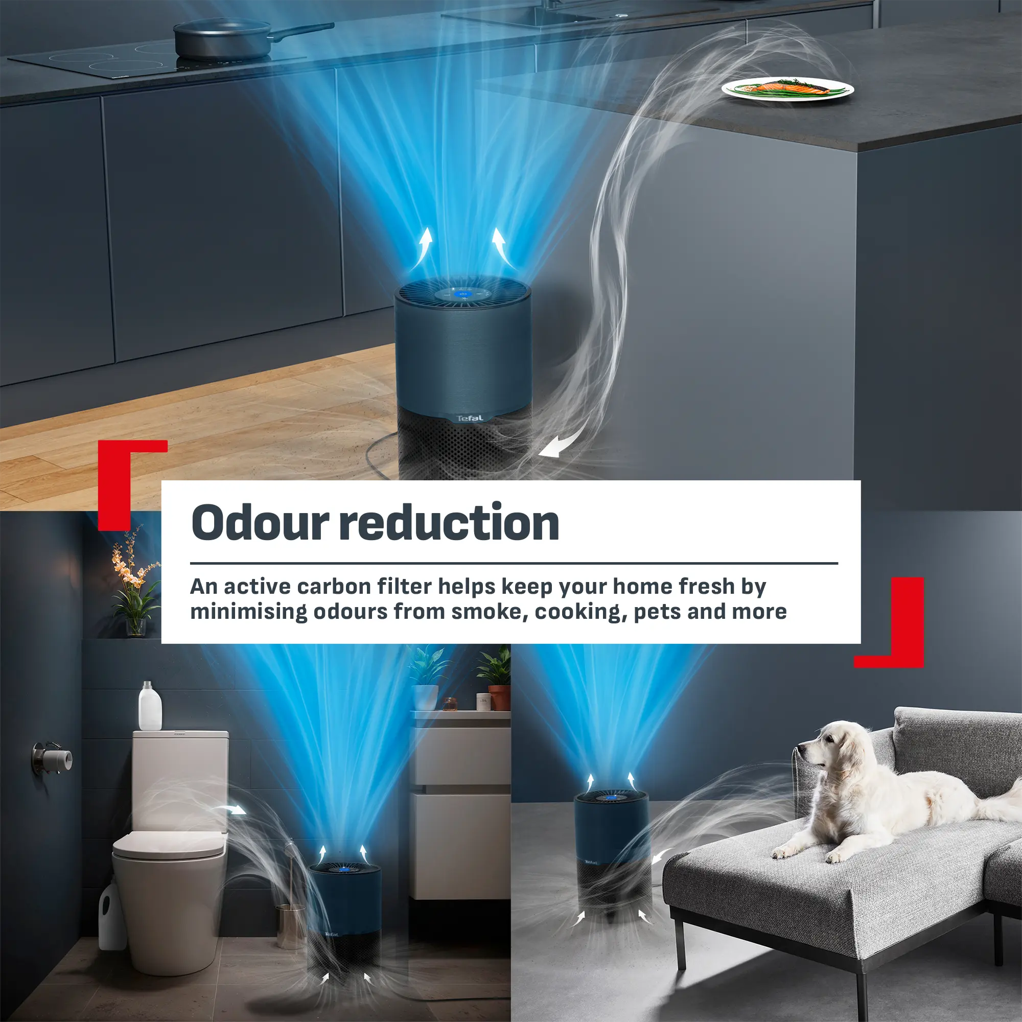 Tefal Pure Air Compact Air Purifier PT2221 with active carbon filter for odour reduction