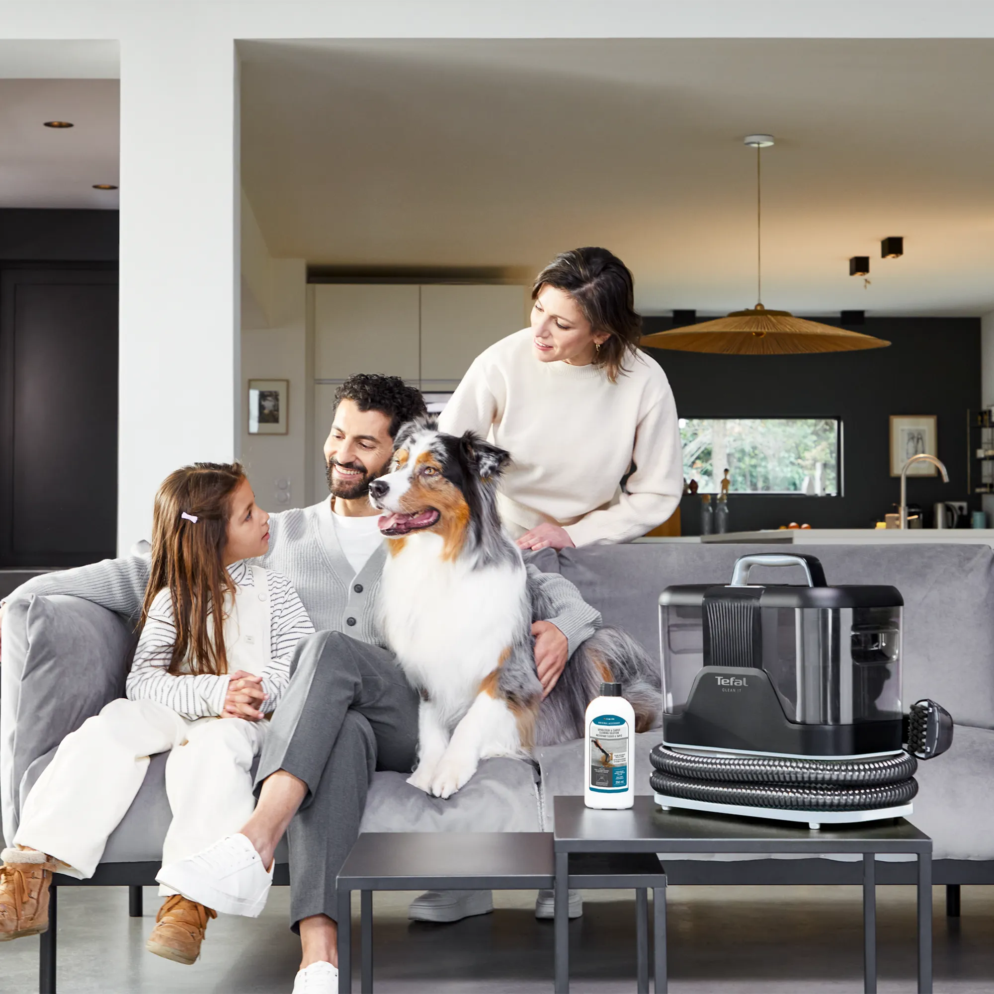 Tefal Clean It Portable Carpet & Upholstery Spot Cleaner IZ5010 great for pets