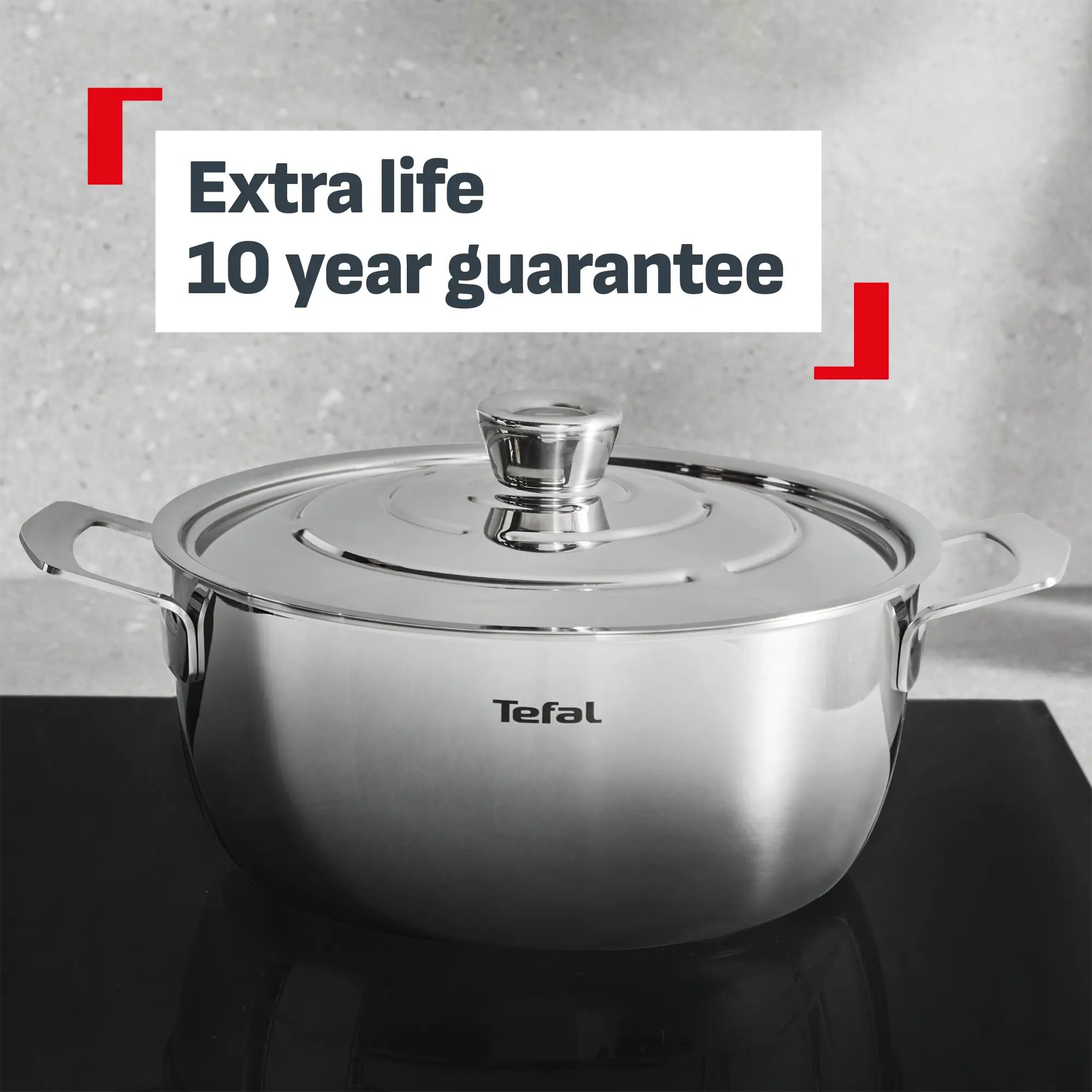 Tefal Emotion+ Gourmet Induction Stainless Steel Uncoated Dutch Oven 24cm