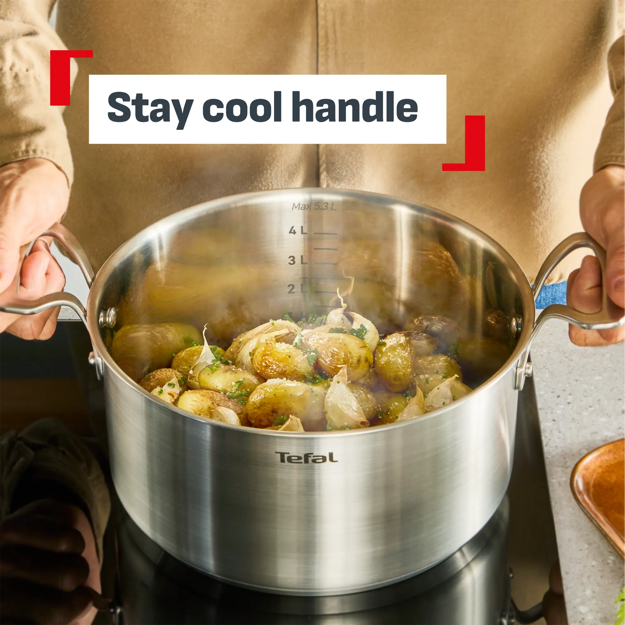 Tefal Space+ Extreme Induction Stainless Steel Stewpot 20cm + Lid