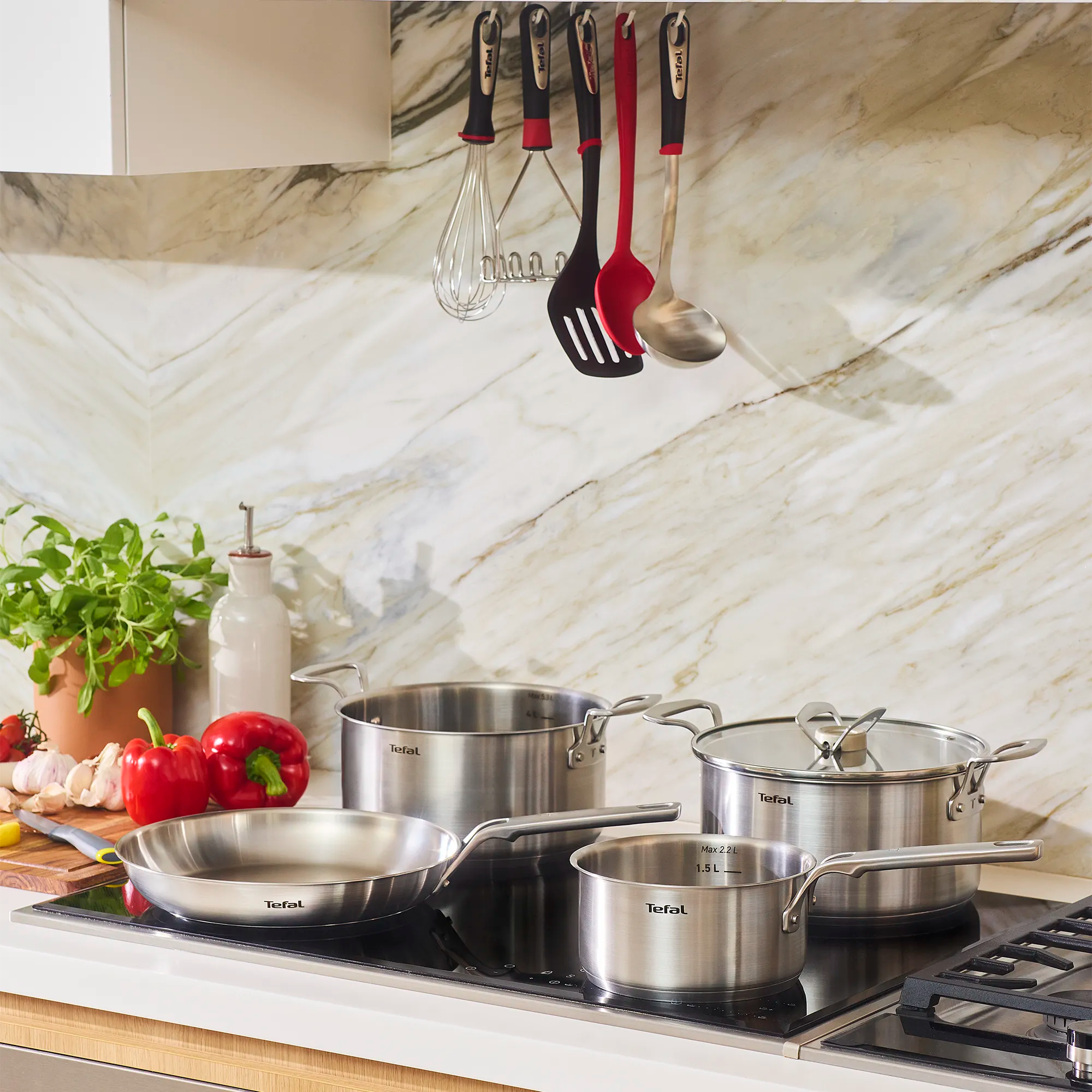 Tefal Space+ Extreme Induction Stainless Steel Stewpot 20cm + Lid